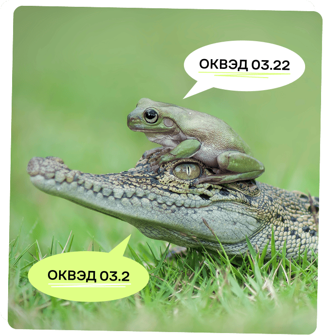 Как сменить коды ОКВЭД
